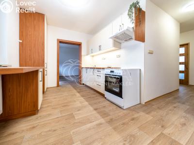 Pronájem bytu 3+1 Slatiňany, Tyršova 702 č. 2