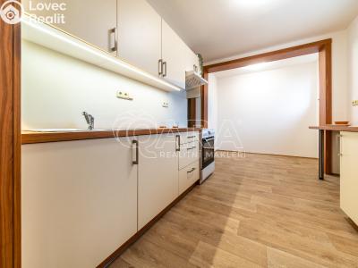 Pronájem bytu 3+1 Slatiňany, Tyršova 702 č. 5