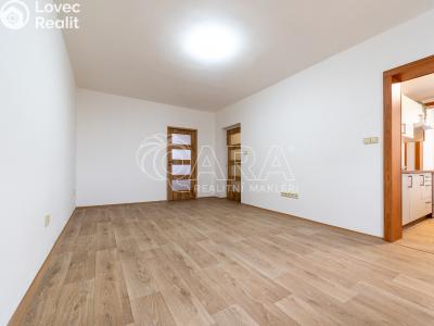Rent apartment 3+1 Slatiňany, Tyršova 702 č. 10