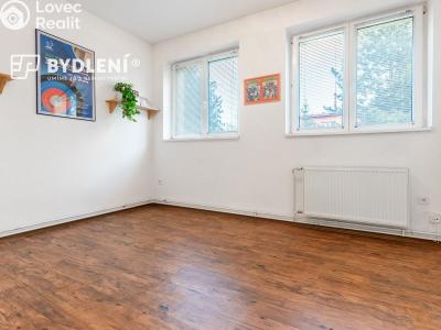 Pronájem komerční nemovitosti Teplice, Jaselská 355 č. 1