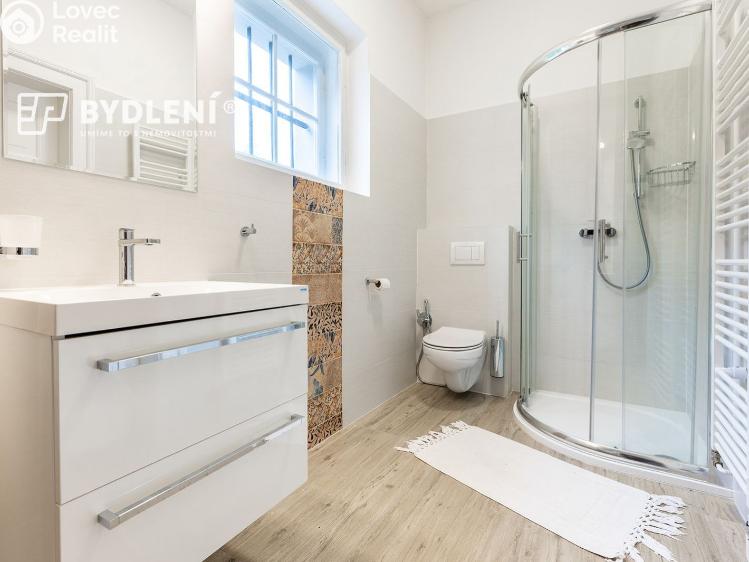 Rent apartment 5+1 Teplice, Doubravská 865/36 č. 11