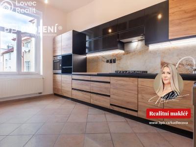 Rent apartment 3+1 Teplice, Novákova č. 1