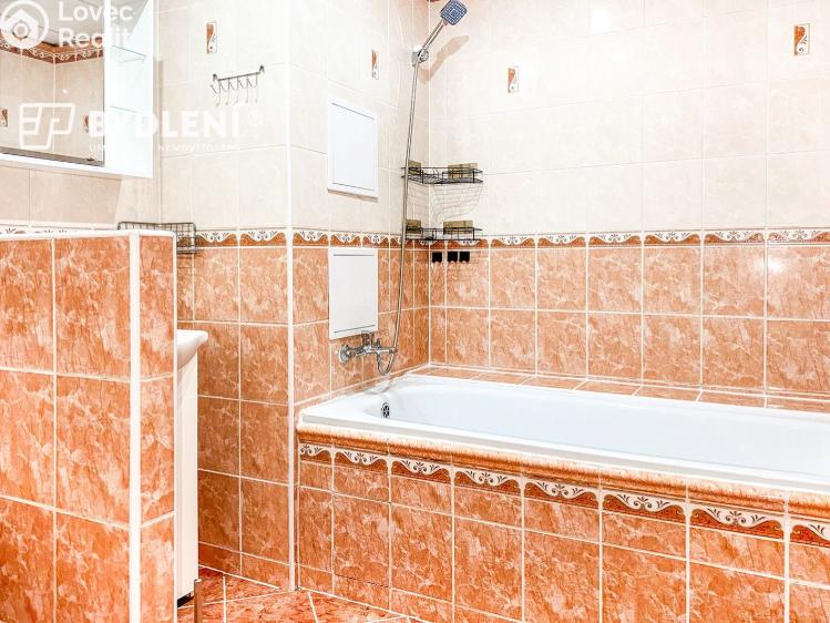 Rent apartment 3+1 Most, Moskevská 1461/33 č. 5