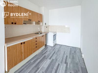 Prodej bytu 2+KK Bílina, Bezejmenná 256 č. 4