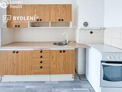 Prodej bytu 2+KK Bílina, Bezejmenná 256 č. 5