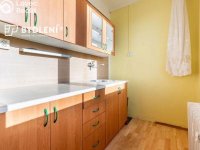Prodej bytu 1+1 Hrob, Rybniční 342 č. 3