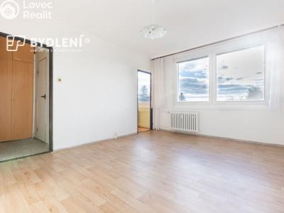 Prodej bytu 1+1 Hrob, Rybniční 342 č. 1