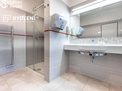 Pronájem kanceláře Teplice, Modlanská 1903 č. 2