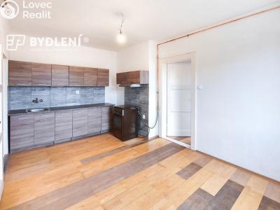 Pronájem bytu 1+1 Teplice, Rooseveltovo náměstí č. 1