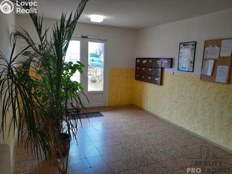 Оренда квартири 1+1 Znojmo, Palackého č. 8