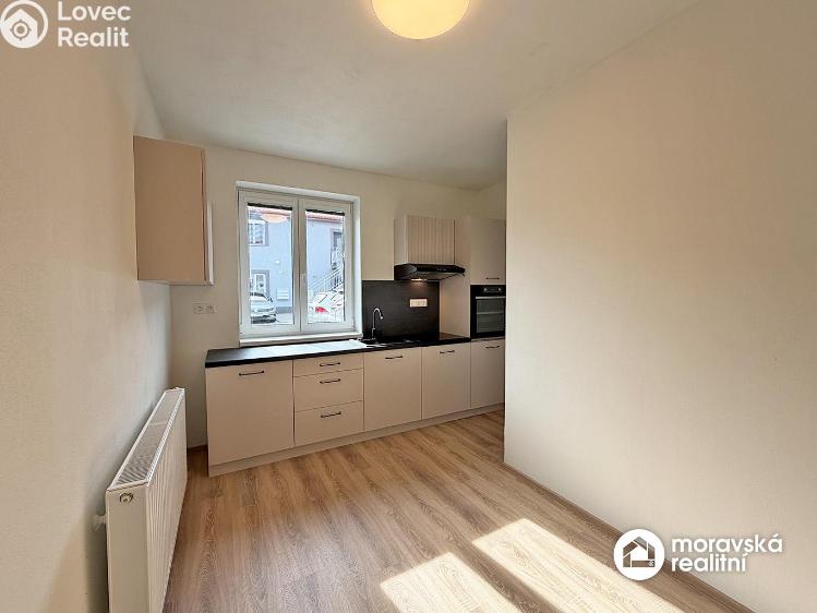 Pronájem bytu 2+1 Vémyslice č. 15