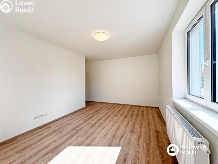 Pronájem bytu 2+1 Vémyslice č. 10