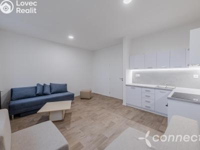 Pronájem bytu 1+KK Přerov, Husova č. 3