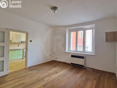 Pronájem bytu 1+1 České Budějovice, Klaricova č. 3