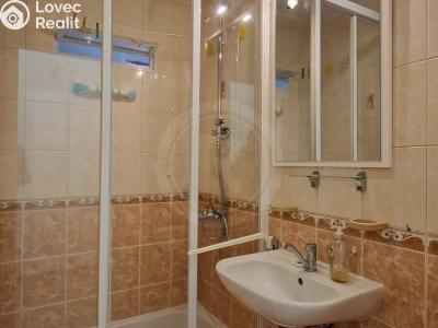 Pronájem bytu 1+1 České Budějovice, Klaricova č. 5