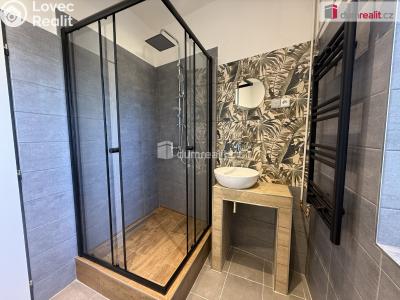 Pronájem bytu 1+1 Děčín, Úzká č. 1