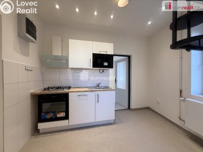 Pronájem bytu 1+1 Děčín, Úzká č. 2