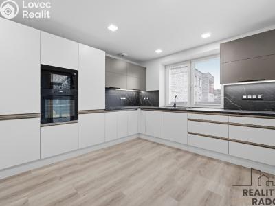 Аренда семейного дома Lázně Bohdaneč č. 2