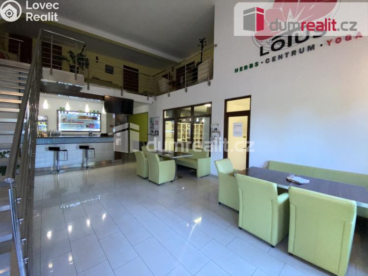 Pronájem komerční nemovitosti Břeclav, Na Hrůdách č. 4