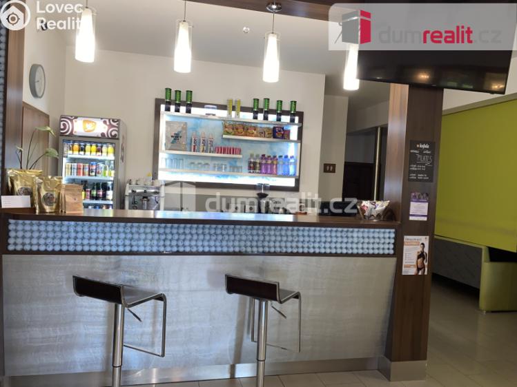 Pronájem komerční nemovitosti Břeclav, Na Hrůdách č. 6