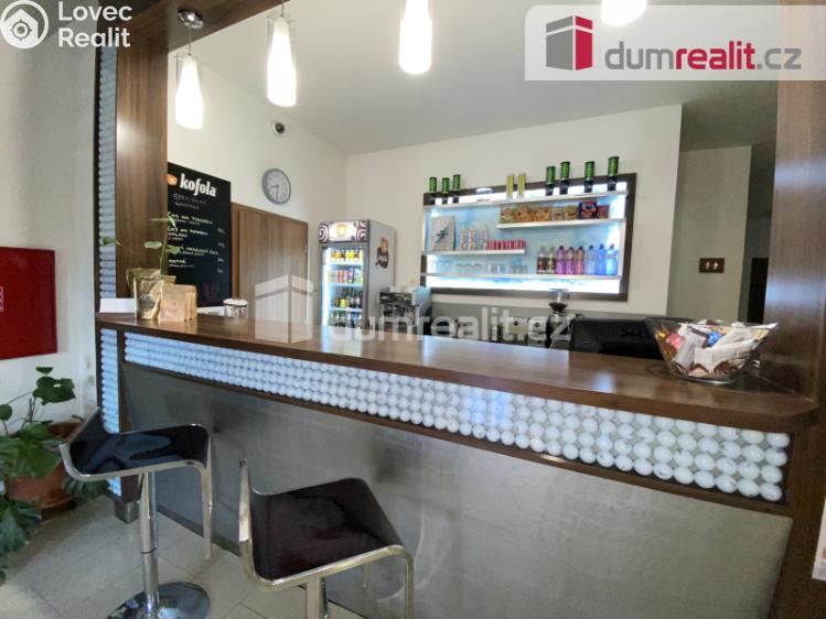 Pronájem komerční nemovitosti Břeclav, Na Hrůdách č. 20