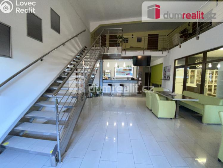 Pronájem komerční nemovitosti Břeclav, Na Hrůdách č. 7