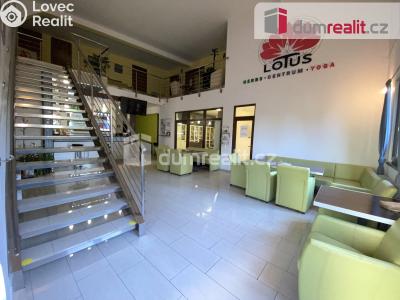 Pronájem komerční nemovitosti Břeclav, Na Hrůdách č. 2