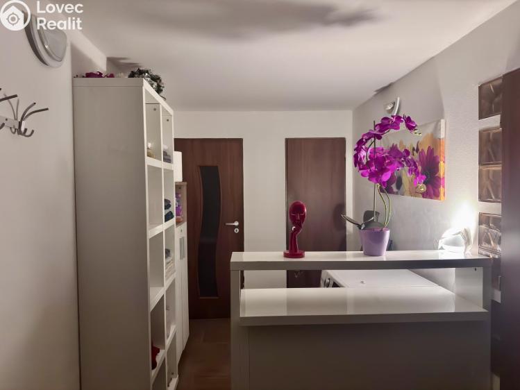 Pronájem obchodního prostoru Praha, Pod Kotlaskou č. 2