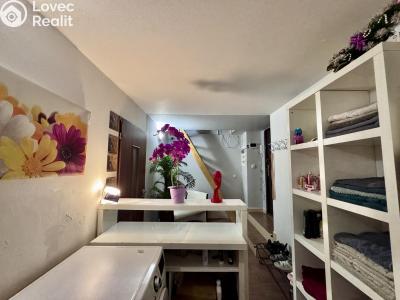 Pronájem obchodního prostoru Praha, Pod Kotlaskou č. 1