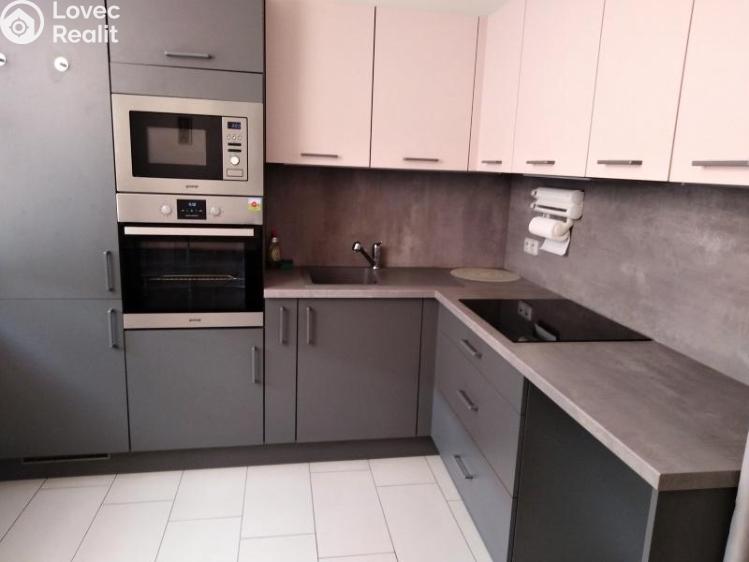 Pronájem bytu 1+1 Jihlava, Březinova č. 7