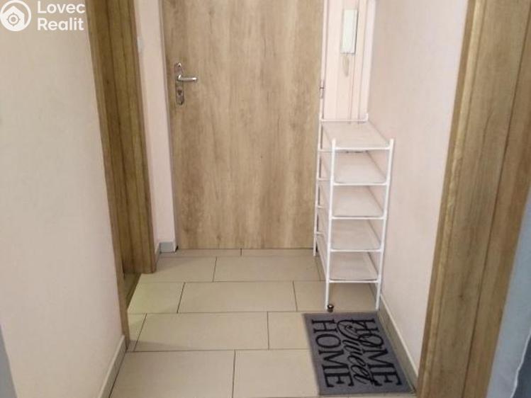 Pronájem bytu 1+1 Jihlava, Březinova č. 5