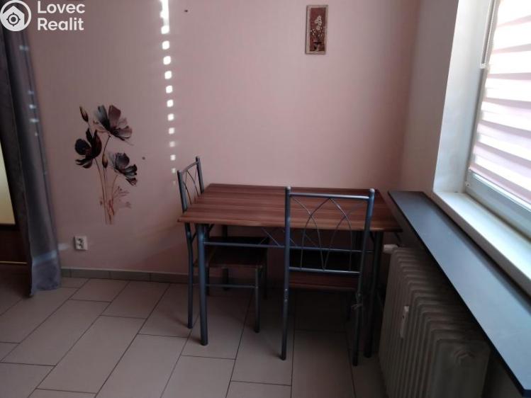 Pronájem bytu 1+1 Jihlava, Březinova č. 6