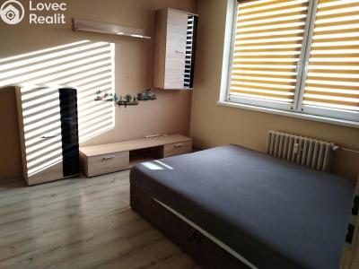 Pronájem bytu 1+1 Jihlava, Březinova č. 1