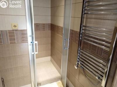 Pronájem bytu 1+1 Jihlava, Březinova č. 3