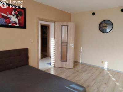 Pronájem bytu 1+1 Jihlava, Březinova č. 4