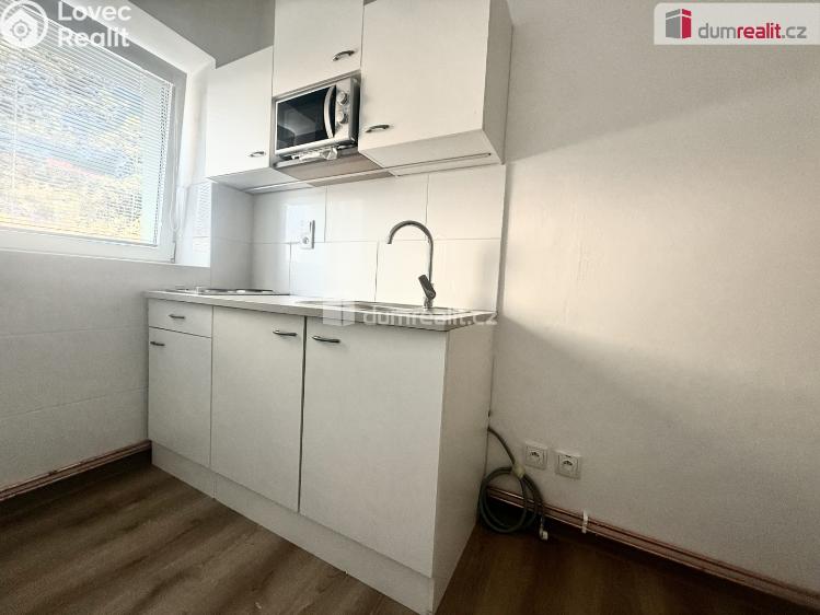 Pronájem bytu 1+1 Ústí nad Labem, Zahradní č. 1