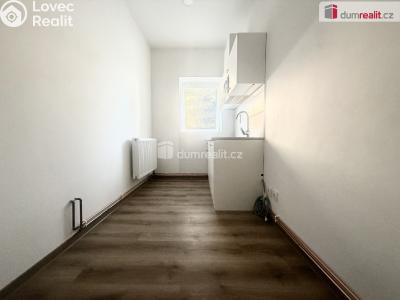 Pronájem bytu 1+1 Ústí nad Labem, Zahradní č. 2