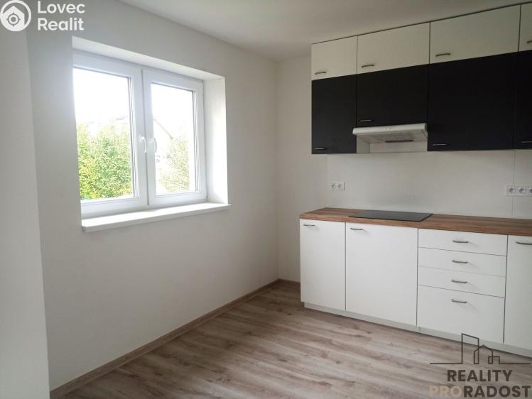 Pronájem bytu 3+1 Návsí č. 1