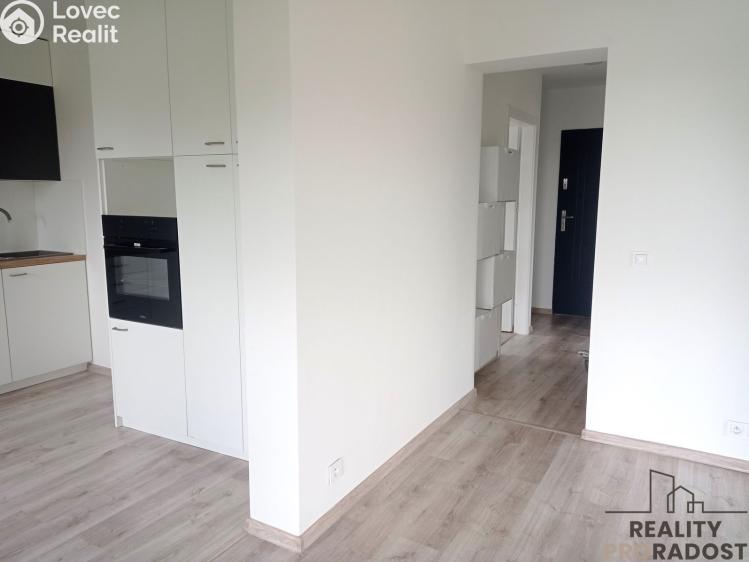 Pronájem bytu 3+1 Návsí č. 5