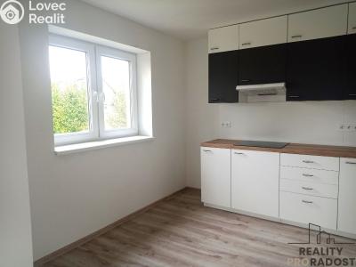 Pronájem bytu 3+1 Návsí č. 1