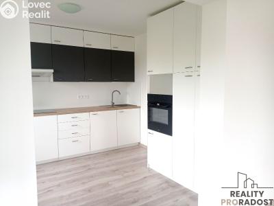 Pronájem bytu 3+1 Návsí č. 2