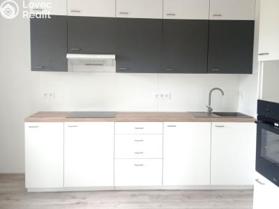 Pronájem bytu 3+1 Návsí č. 3