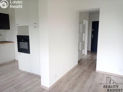 Pronájem bytu 3+1 Návsí č. 5