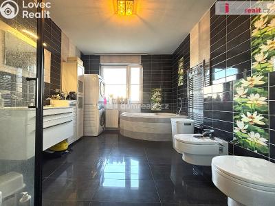 Pronájem bytu 3+1 Sokolov, Atletická č. 4