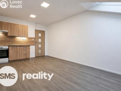 Pronájem bytu 1+KK Opava, Hany Kvapilové č. 4