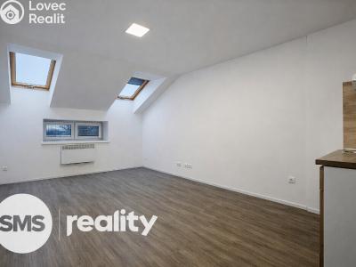 Pronájem bytu 1+KK Opava, Hany Kvapilové č. 5