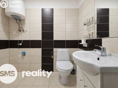 Pronájem bytu 1+KK Opava, Hany Kvapilové č. 6