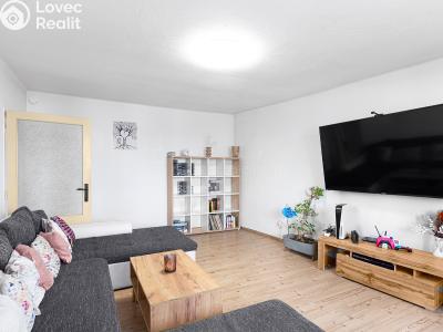 Продажа семейного дома Horažďovice č. 1