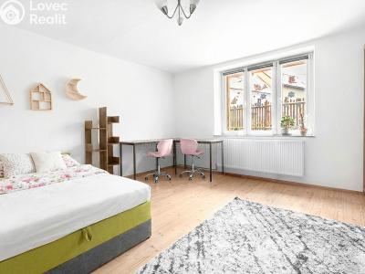 Продажа семейного дома Horažďovice č. 8