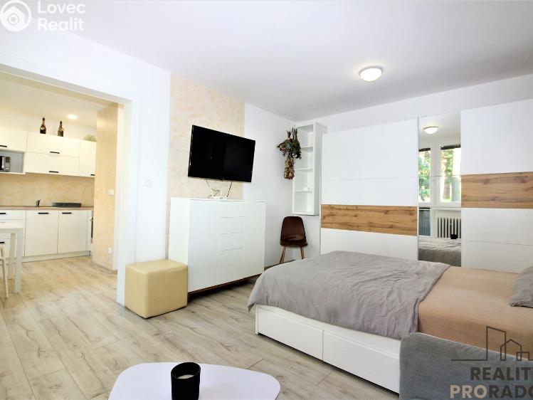 Prodej bytu 1+1 Znojmo, Gagarinova č. 7